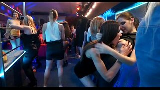 Strring do medu in stipsa divje potrebe